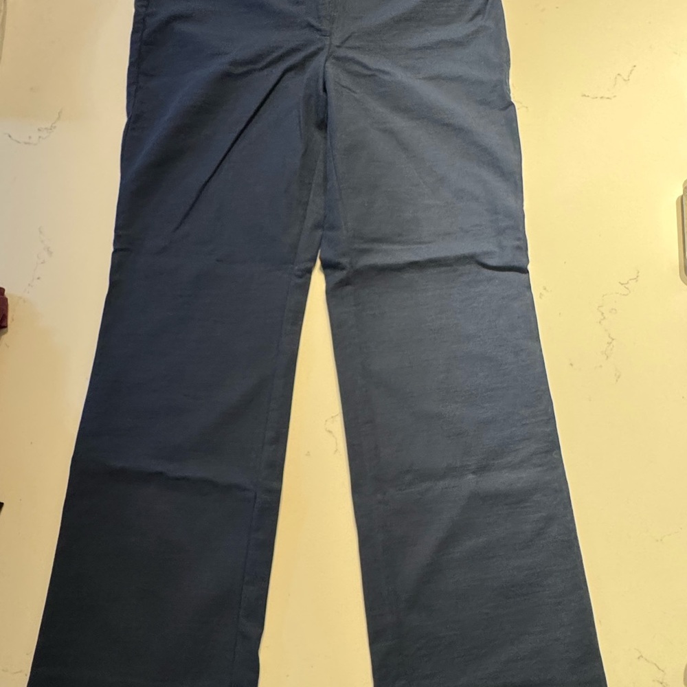 Ann Taylor Factory Blue Straight-Leg Work Pants